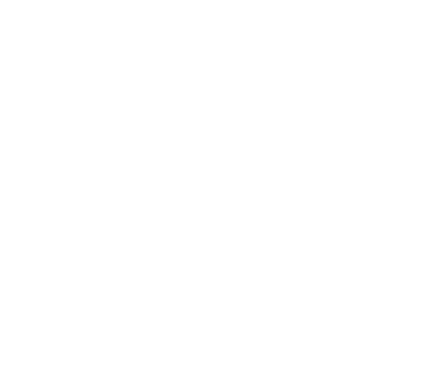 Logo Fahrschule Tachometer